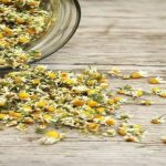 The Ultimate Guide to Chamomile Tea: Benefits, Uses, and Brewing Tips