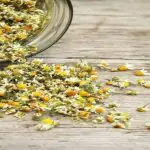 The Ultimate Guide to Chamomile Tea: Benefits, Uses, and Brewing Tips