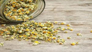 chamomile tea
