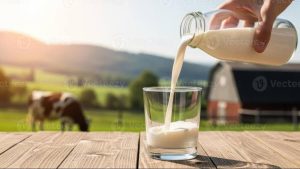 cow milk